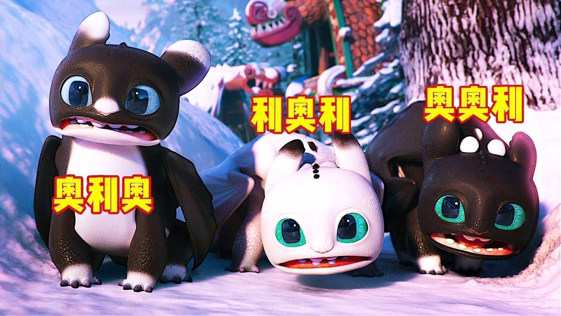 黑龍魚長大了什么樣圖片欣賞 黑龍魚長大了什么樣圖片欣賞 龍魚百科 第18張