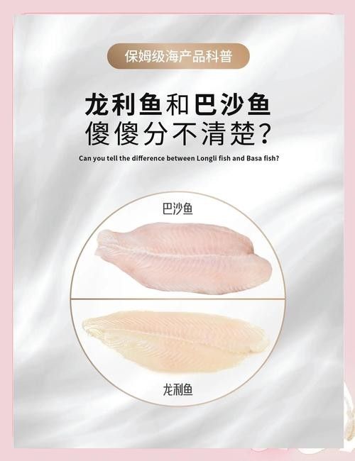 龍利魚和巴沙魚的市場價格 龍魚百科 第12張 龍利魚和巴沙魚的市場價格 龍利魚和巴沙魚的市場價格 龍魚百科 第12張