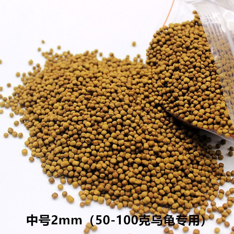 金龍魚可以用黃粉嗎怎么喂：給金龍魚喂食黃粉時，應遵循以下幾點注意事項 金龍魚可以用黃粉嗎怎么喂：給金龍魚喂食黃粉時，應遵循以下幾點注意事項 龍魚百科 第3張