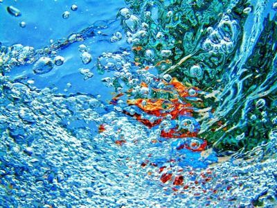龍魚魚鱗發黑：龍魚魚鱗發黑可能是由多種原因引起的，龍魚魚鱗發黑可能由多種因素引起 龍魚魚鱗發黑：龍魚魚鱗發黑可能是由多種原因引起的，龍魚魚鱗發黑可能由多種因素引起 龍魚百科 第1張