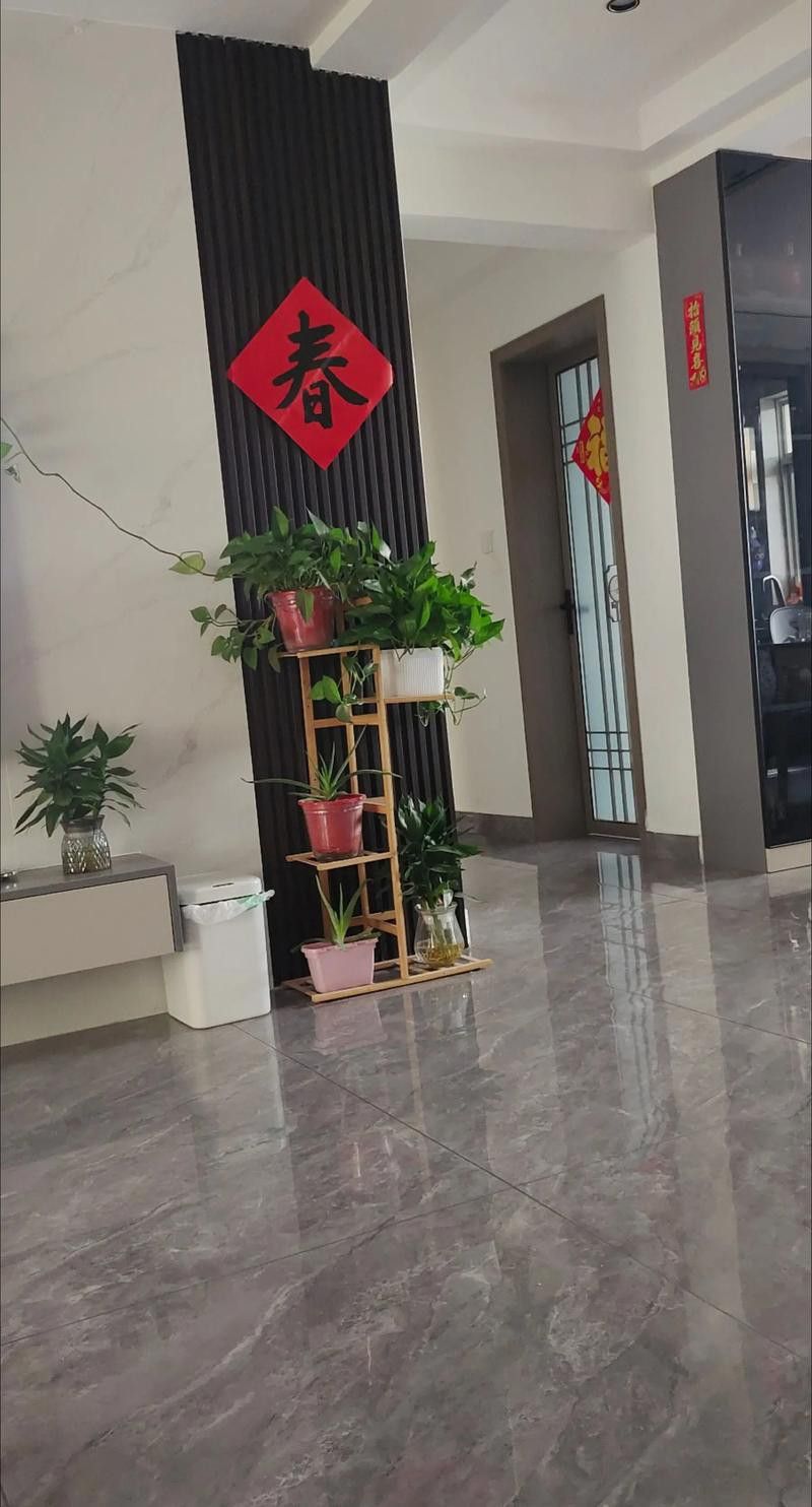 玉石金龍魚擺設怎么擺放圖片視頻