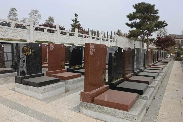 如何預約參觀龍生墓園？ 如何預約參觀龍生墓園？ 龍魚百科 第2張