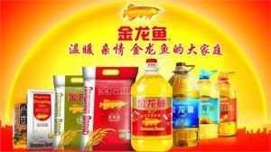紅龍魚眼睛看不見食物怎么回事兒呢視頻（紅龍魚眼睛看不見食物怎么回事兒呢視頻講解）