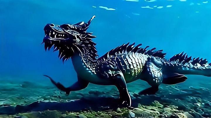 日本龍和印度龍有哪些獨特之處？