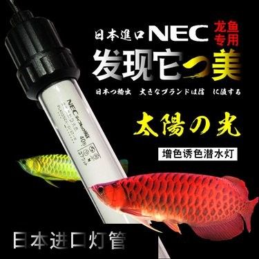 龍魚6700K燈光如何清潔？