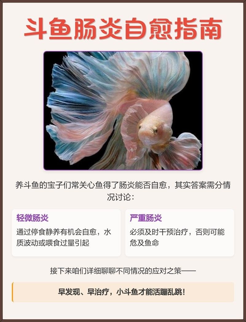 雷龍魚腸炎自愈期間需要停食多久？