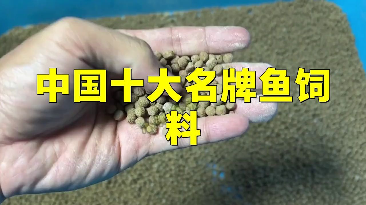 口碑最好的魚飼料