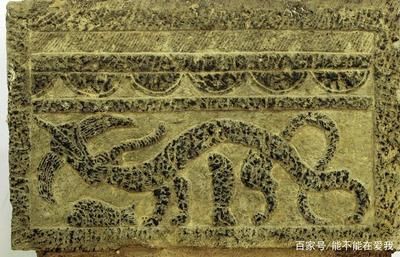 龍魚畫像，關(guān)于龍魚畫像的一些基本信息