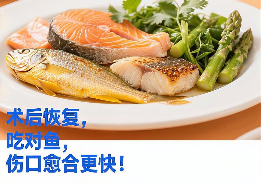 哪些食物適合龍魚爛身手術(shù)后恢復(fù)？ 哪些食物適合龍魚爛身手術(shù)后恢復(fù)？ 龍魚百科 第1張