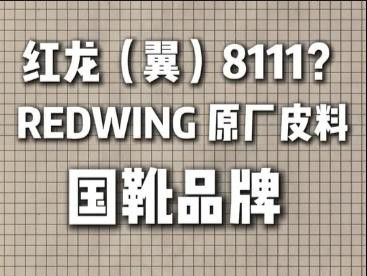 紅龍品牌未來的發展方向是什么？