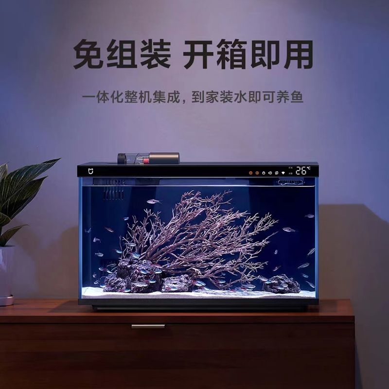 紅龍魚喂什么魚食好呢視頻（紅龍魚喂什么魚食好呢視頻教程）