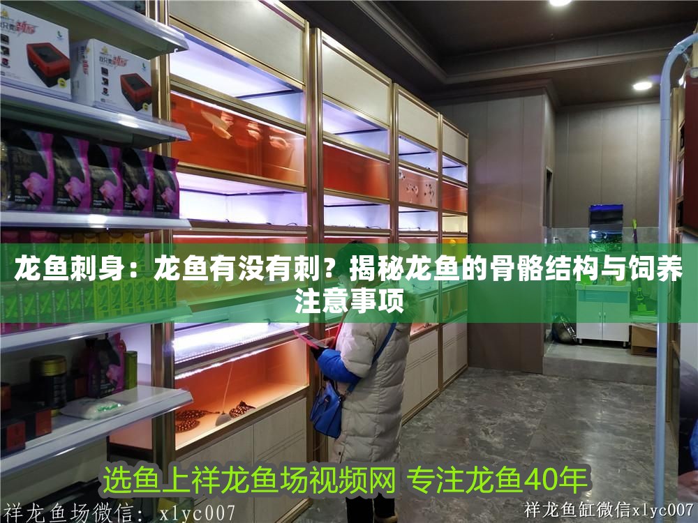 龍魚刺身：龍魚有沒有刺？揭秘龍魚的骨骼結構與飼養注意事項
