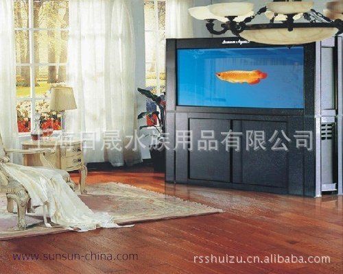 大型龍魚缸效果圖大全，大型龍魚缸的設計、制作、養護方法