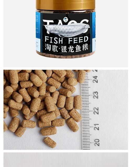 銀龍魚專用魚糧圖片大全 銀龍魚專用魚糧圖片大全 龍魚百科 第14張
