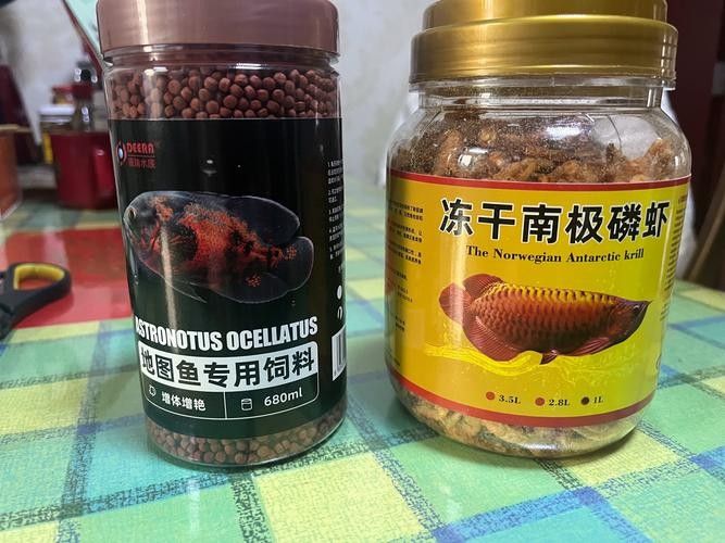 銀龍魚專用魚糧圖片大全 銀龍魚專用魚糧圖片大全 龍魚百科 第8張
