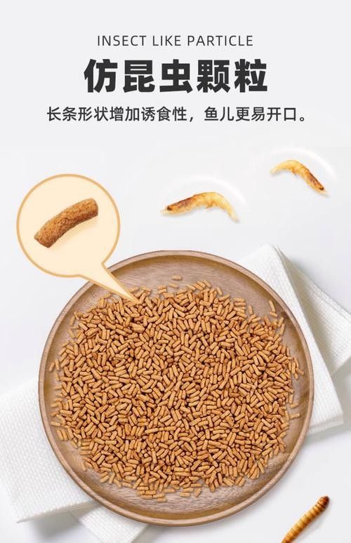 銀龍魚專用魚糧圖片大全 銀龍魚專用魚糧圖片大全 龍魚百科 第13張