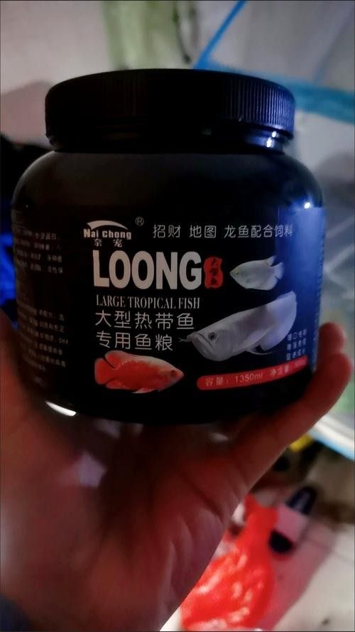 銀龍魚專用魚糧圖片大全 銀龍魚專用魚糧圖片大全 龍魚百科 第7張