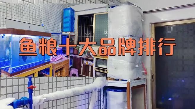 銀龍魚專用魚糧圖片大全 銀龍魚專用魚糧圖片大全 龍魚百科 第31張