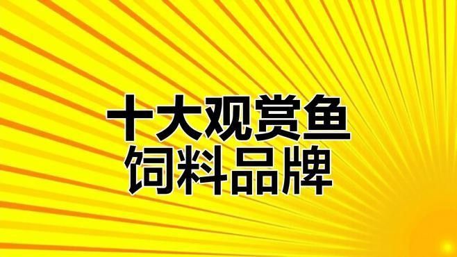 銀龍魚專用魚糧圖片大全 銀龍魚專用魚糧圖片大全 龍魚百科 第32張