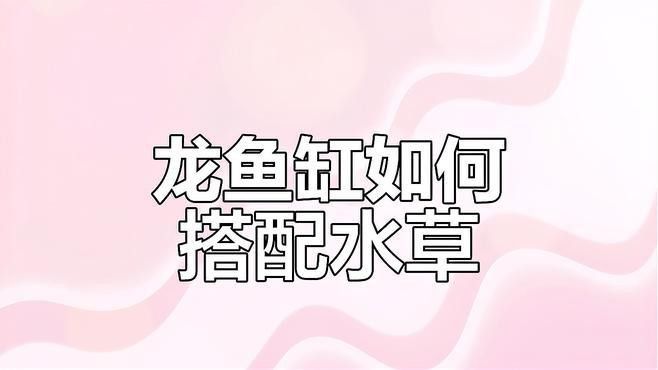 如何設置龍魚缸的水草種植區？ 如何設置龍魚缸的水草種植區？ 龍魚百科 第1張