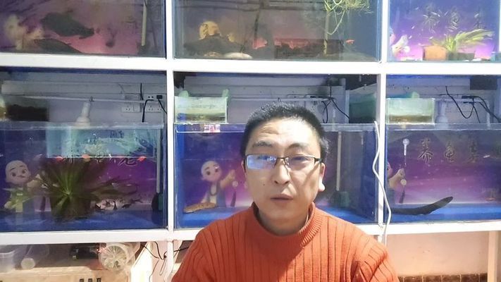 觀賞魚光照周期研究：光照周期對(duì)觀賞魚的生長(zhǎng)、攝食、繁殖和健康有著深遠(yuǎn)的影響