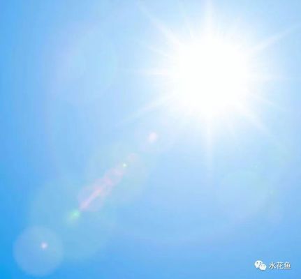 觀賞魚光照周期研究：光照周期對(duì)觀賞魚的生長(zhǎng)、攝食、繁殖和健康有著深遠(yuǎn)的影響