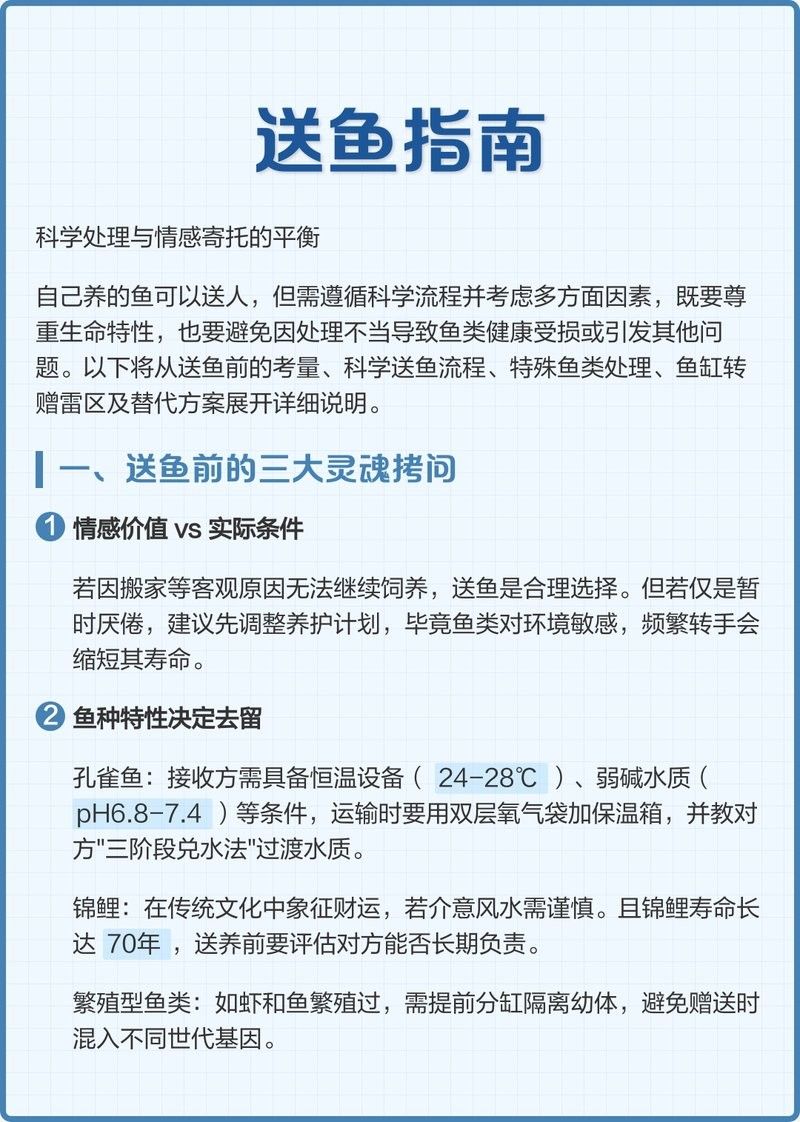 雪龍魚轉讓 雪龍魚轉讓 龍魚百科 第9張