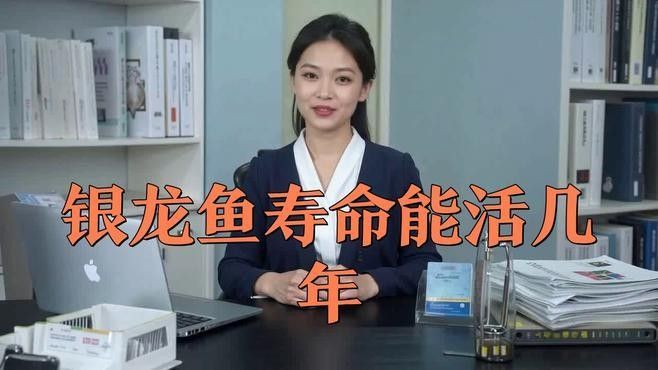 銀龍魚要怎么養(yǎng)才能活得久