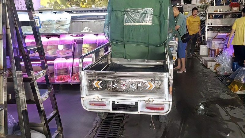 巨型銀龍魚多少錢 巨型銀龍魚多少錢 龍魚百科 第10張