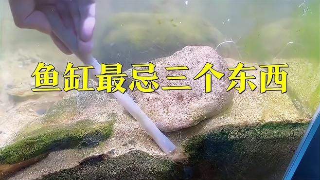 馬印水族魚缸最忌三個東西