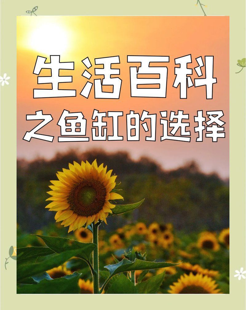 馬印水族魚缸最忌三個東西