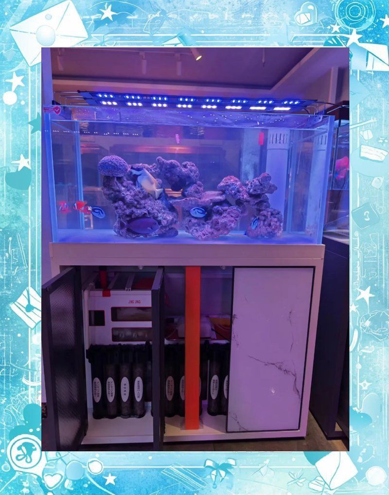 馬印水族魚缸最忌三個東西