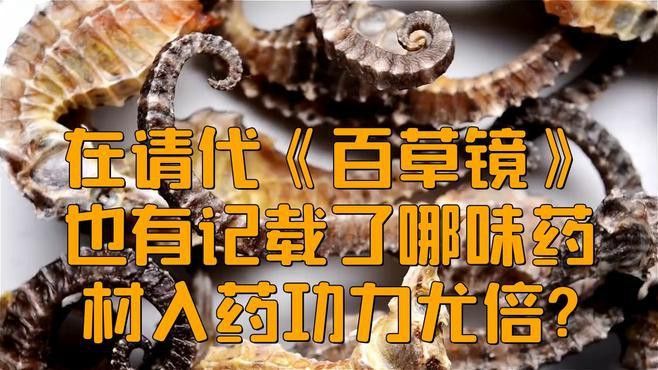 海龍中哪種藥用價值最高？ 海龍中哪種藥用價值最高？ 龍魚百科 第2張
