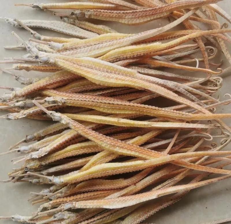 海龍中哪種藥用價值最高？ 海龍中哪種藥用價值最高？ 龍魚百科 第3張