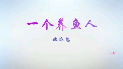 龍魚的作文400字：龍魚作文400字