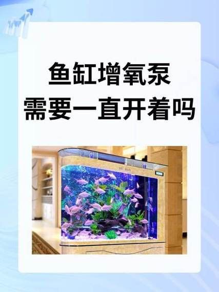 增氧泵應該放在魚缸的哪個位置？