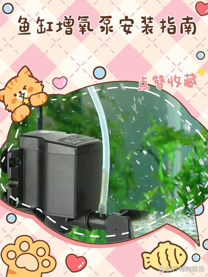 增氧泵應該放在魚缸的哪個位置？