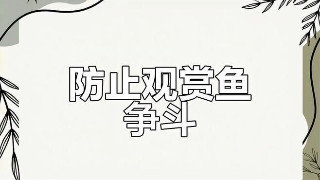 如何預防魚打架受傷？ 如何預防魚打架受傷？ 龍魚百科 第1張