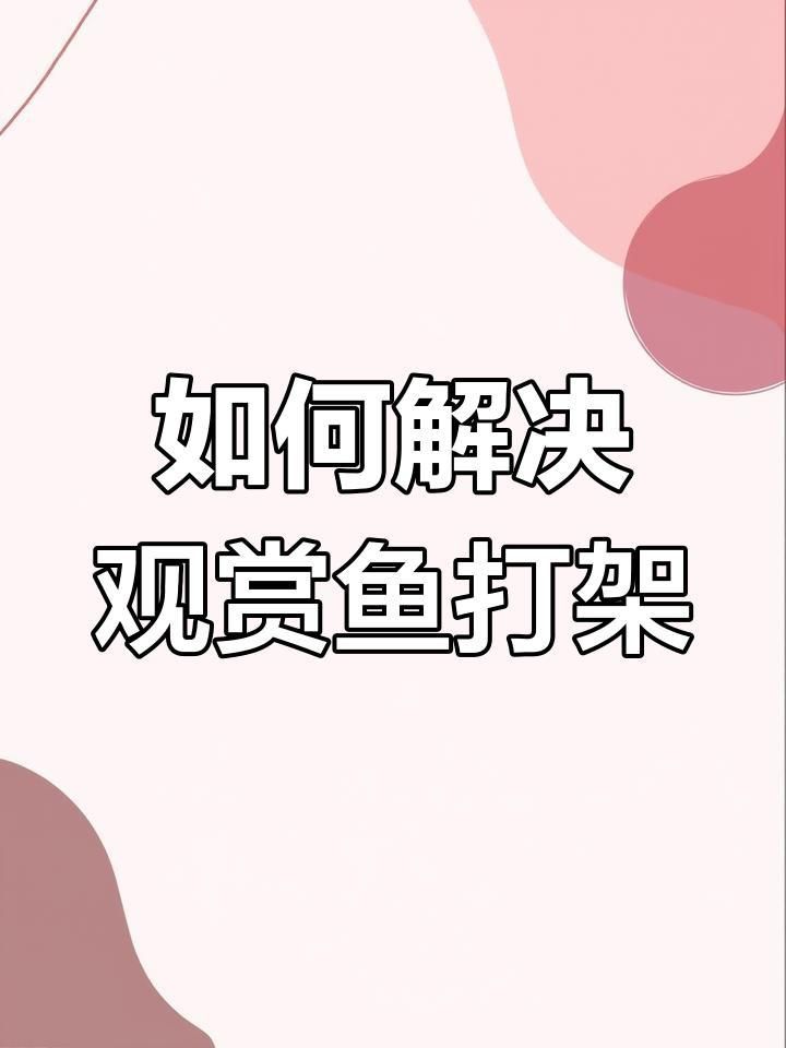 如何預防魚打架受傷？ 如何預防魚打架受傷？ 龍魚百科 第4張