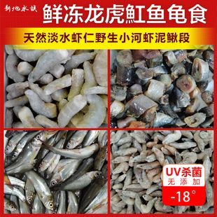 泥鰍段沉底怎么喂龍魚，泥鰍段沉底怎么辦：在喂食泥鰍段給龍魚時，如果泥鰍段沉底