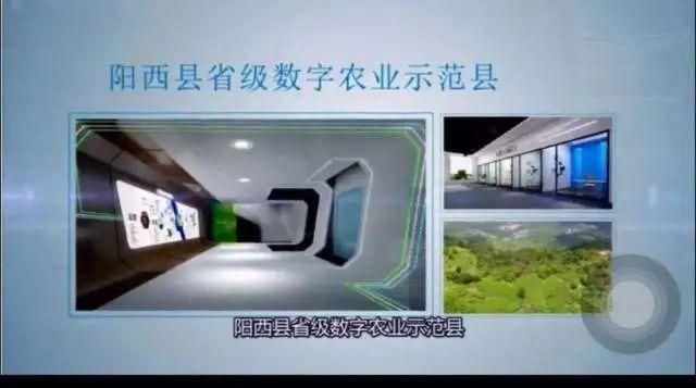 陽西縣水產養殖產學研合作成效：陽西縣產學研合作取得顯著成效