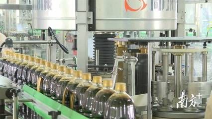 陽西縣水產養殖產學研合作成效：陽西縣產學研合作取得顯著成效