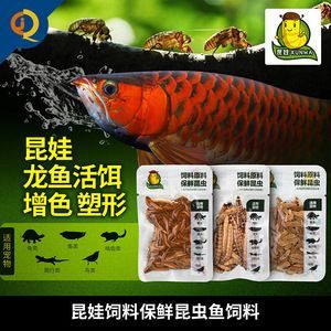 龍魚吃面包蟲干和干蝦哪個好?(面包蟲干和干蝦哪個更好?) 龍魚百科 第2張 龍魚吃面包蟲干和干蝦哪個好?(面包蟲干和干蝦哪個更好?) 龍魚吃面包蟲干和干蝦哪個好?(面包蟲干和干蝦哪個更好?) 龍魚百科 第2張