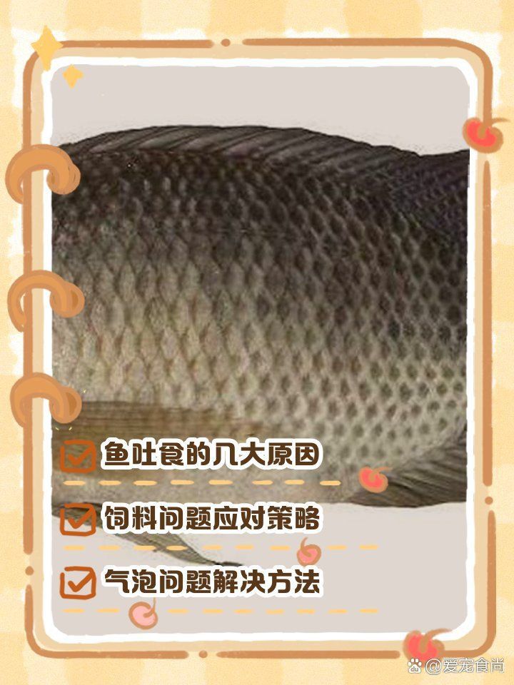 金龍魚吃東西嚼碎吐出來 龍魚百科 第12張 金龍魚吃東西嚼碎吐出來 金龍魚吃東西嚼碎吐出來 龍魚百科 第12張