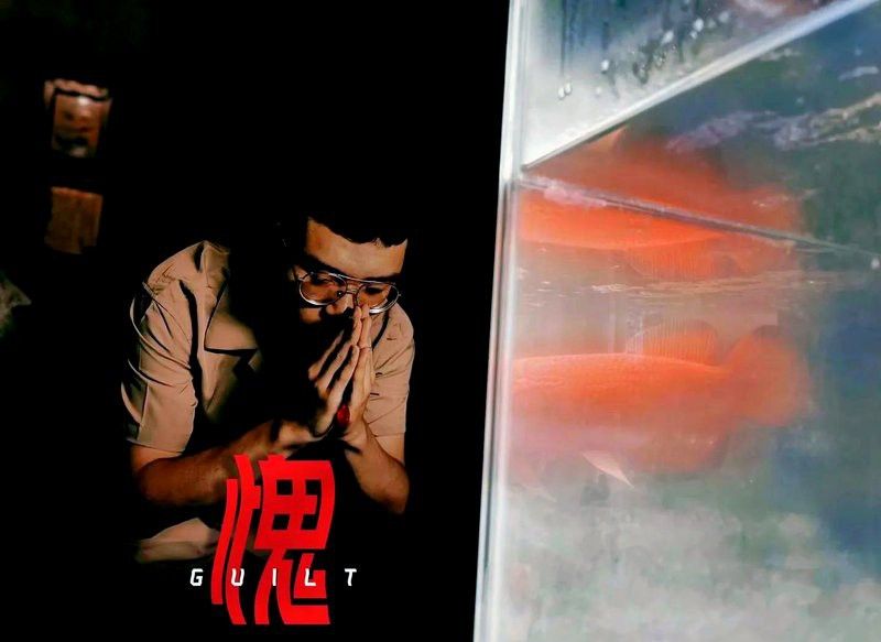 紅龍魚互動性訓練方法有哪些？ 紅龍魚互動性訓練方法有哪些？ 龍魚百科 第7張