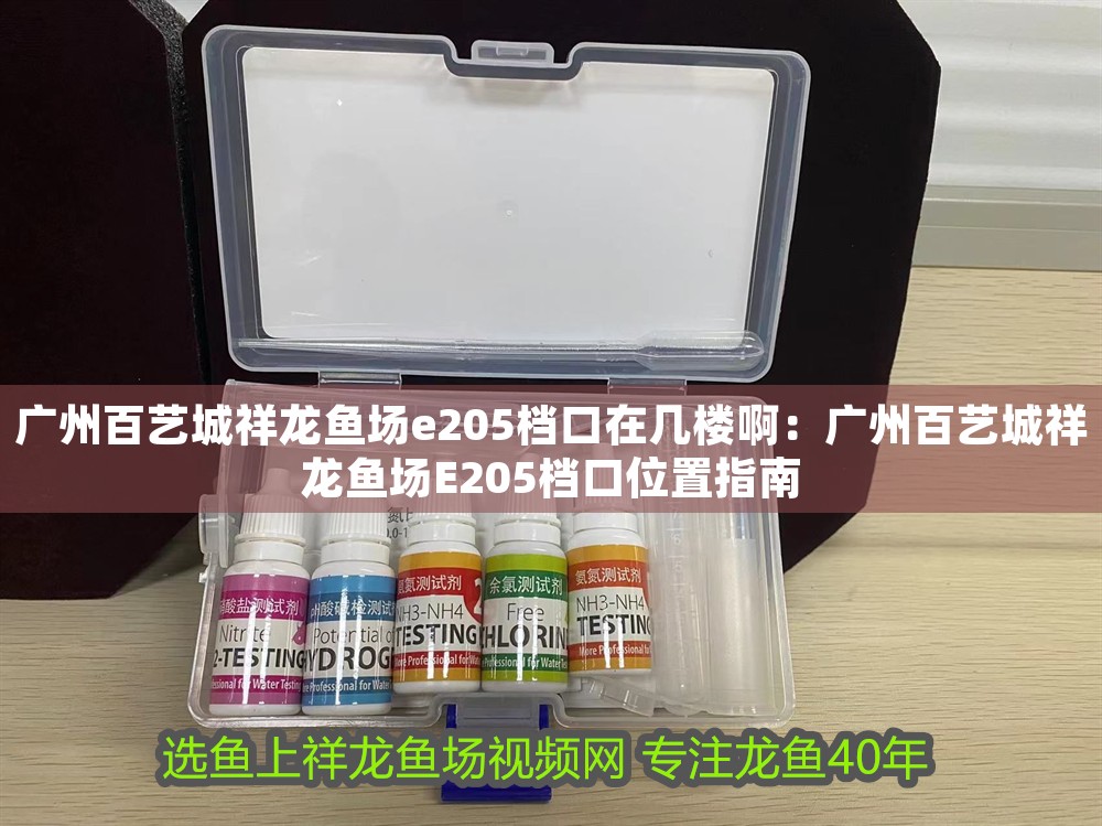 廣州百藝城祥龍魚(yú)場(chǎng)e205檔口在幾樓啊：廣州百藝城祥龍魚(yú)場(chǎng)E205檔口位置指南