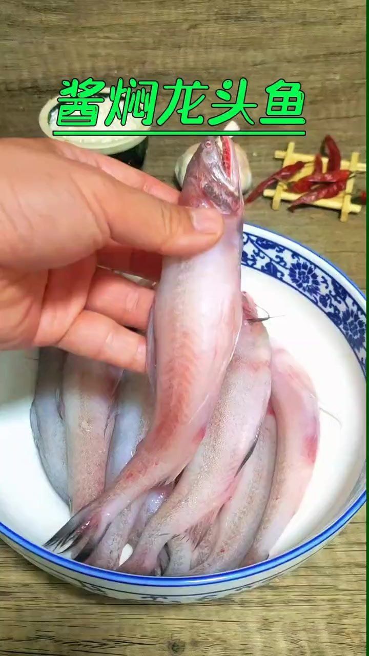 龍頭魚的圖片