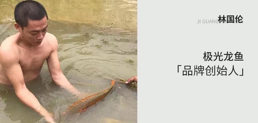 龍魚的鱗片有用嗎：關(guān)于龍魚鱗片的一些詳細(xì)作用 龍魚的鱗片有用嗎：關(guān)于龍魚鱗片的一些詳細(xì)作用 龍魚百科 第1張