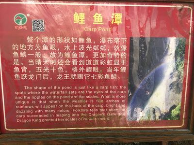 白龍魚眼的故事寓意：白龍魚眼的寓意