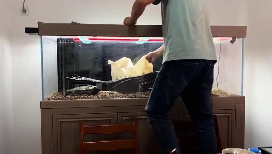 龍魚缸造景圖片高清 龍魚缸造景圖片高清 龍魚百科 第22張